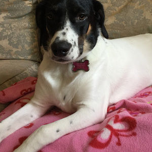 Meet your Posher, Micah